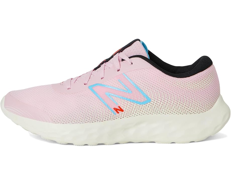 6pm New Balance Kids 520v8 (Big Kid)