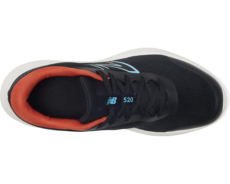 6pm New Balance Kids 520v8 (Big Kid)
