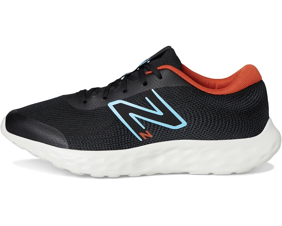 6pm New Balance Kids 520v8 (Big Kid)