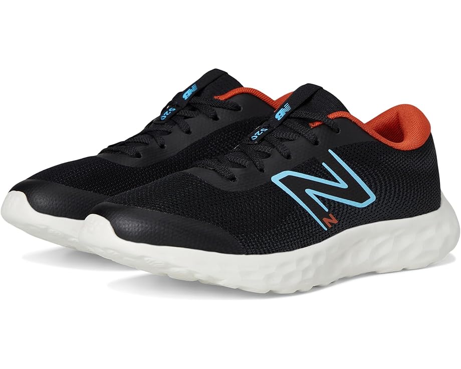6pm New Balance Kids 520v8 (Big Kid)