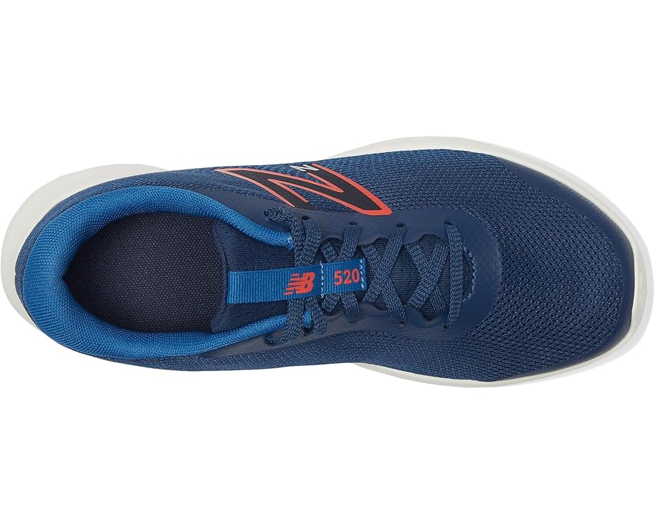 6pm New Balance Kids 520v8 (Big Kid)