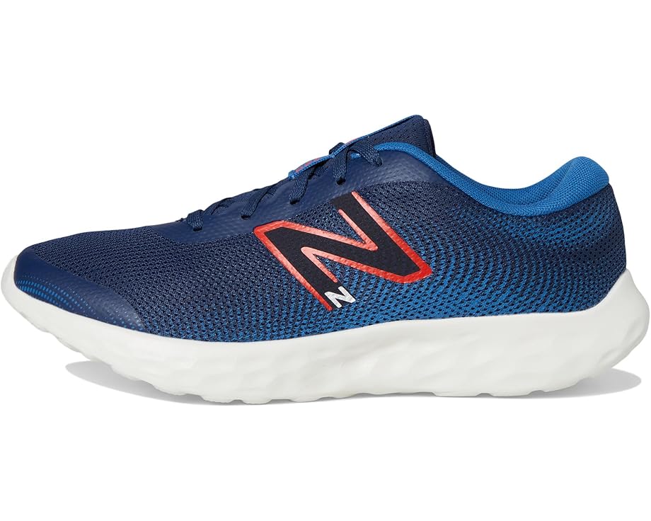 6pm New Balance Kids 520v8 (Big Kid)