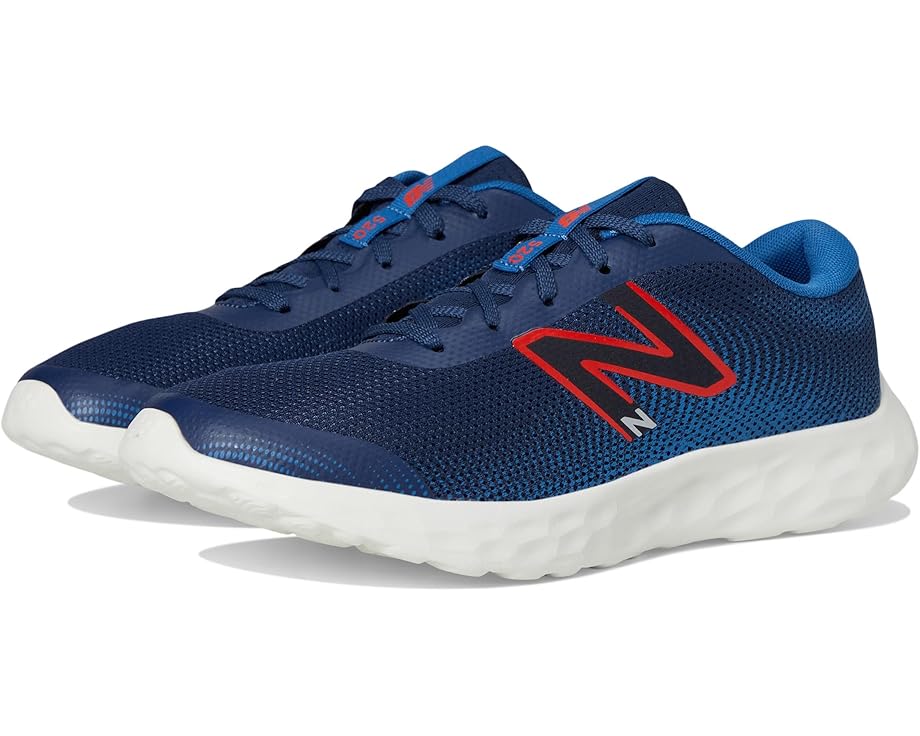 6pm New Balance Kids 520v8 (Big Kid)