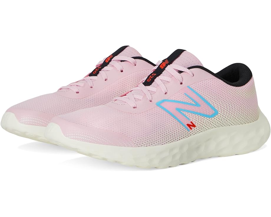 6pm New Balance Kids 520v8 (Big Kid)