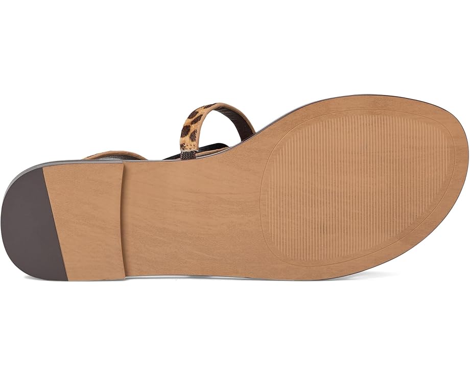 6pm Steve Madden Alma Women's