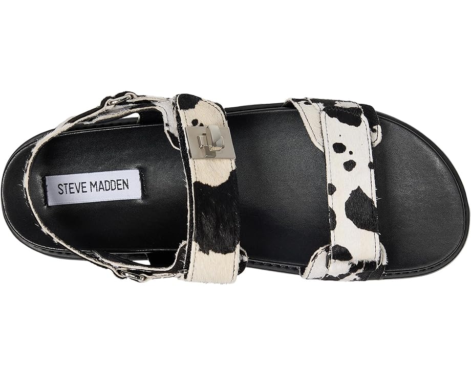 6pm Steve Madden Bigmona Women's