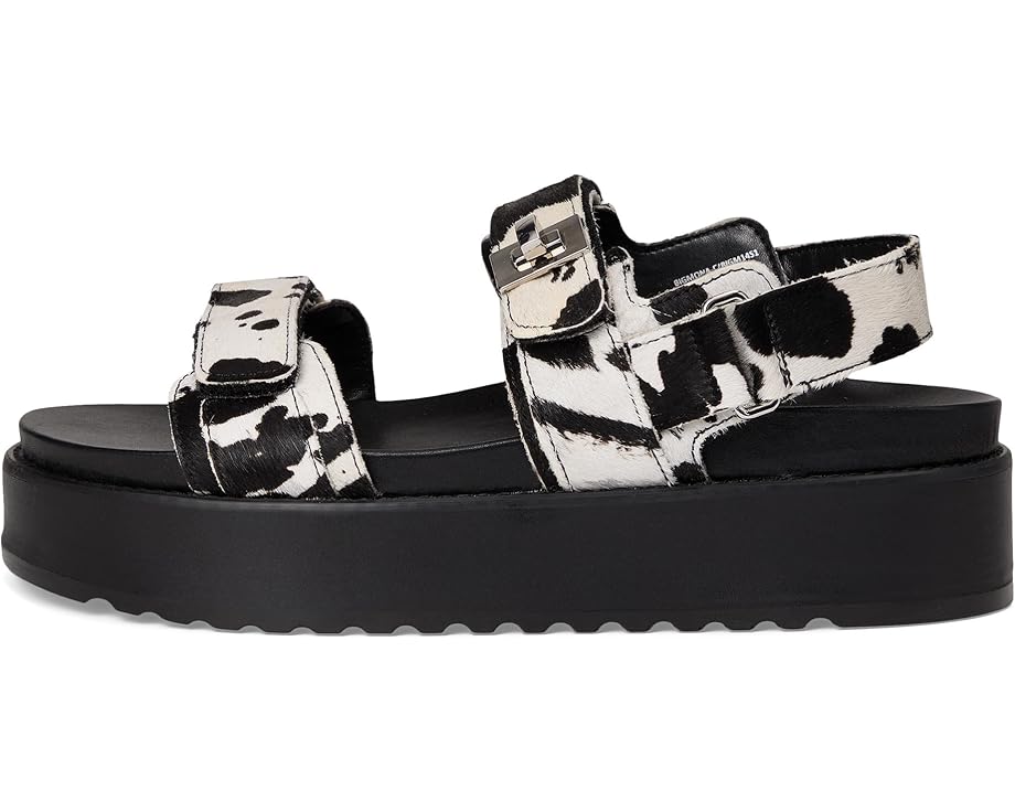 6pm Steve Madden Bigmona Women's