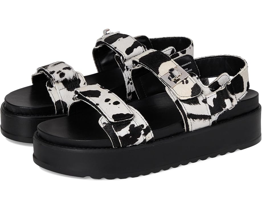 6pm Steve Madden Bigmona Women's