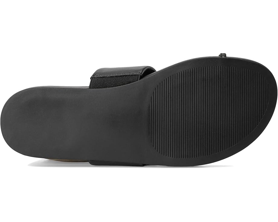6pm Steve Madden Dove Women's
