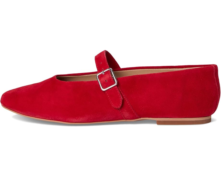 6pm Steve Madden Dreaming Women's