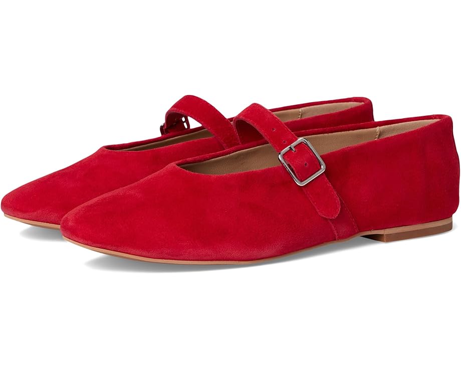 6pm Steve Madden Dreaming Women's