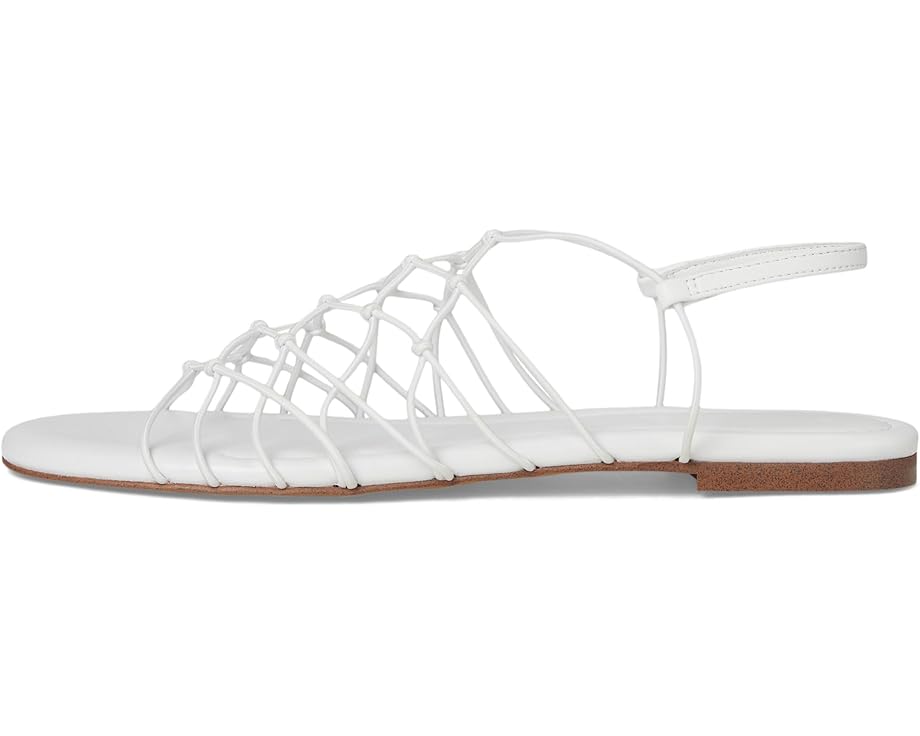 Steve Madden Libra Women's