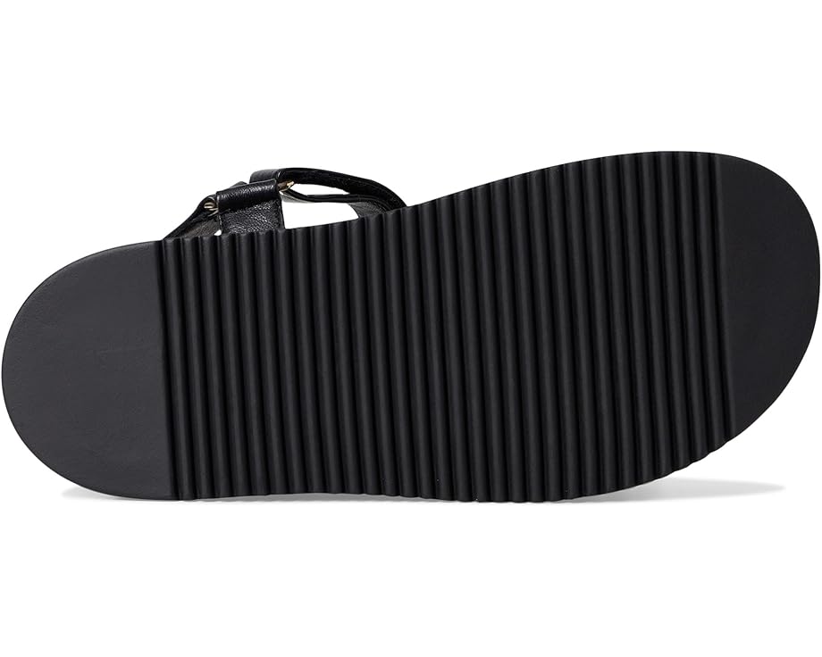 6pm Steve Madden Matina Women's