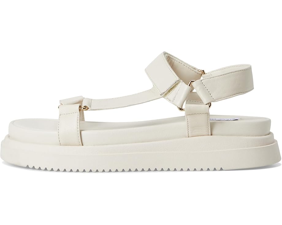 6pm Steve Madden Matina Women's