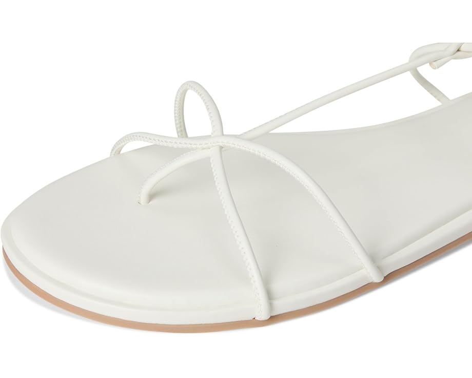 6pm Steve Madden Myrtle Women's