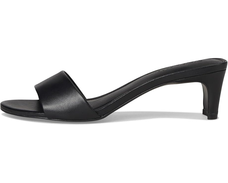 6pm Steve Madden Patsy Women's