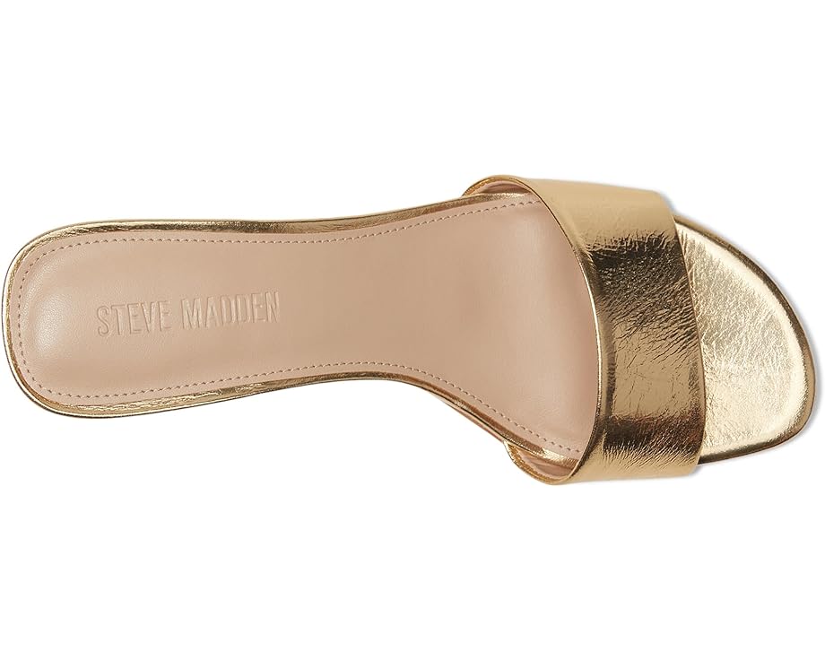 6pm Steve Madden Patsy Women's