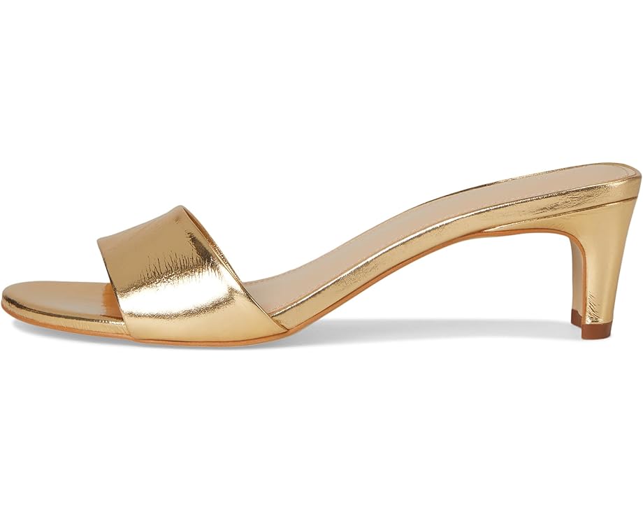 6pm Steve Madden Patsy Women's