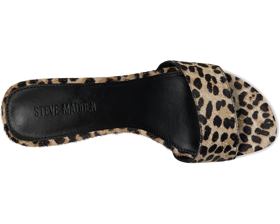 6pm Steve Madden Patsy Women's