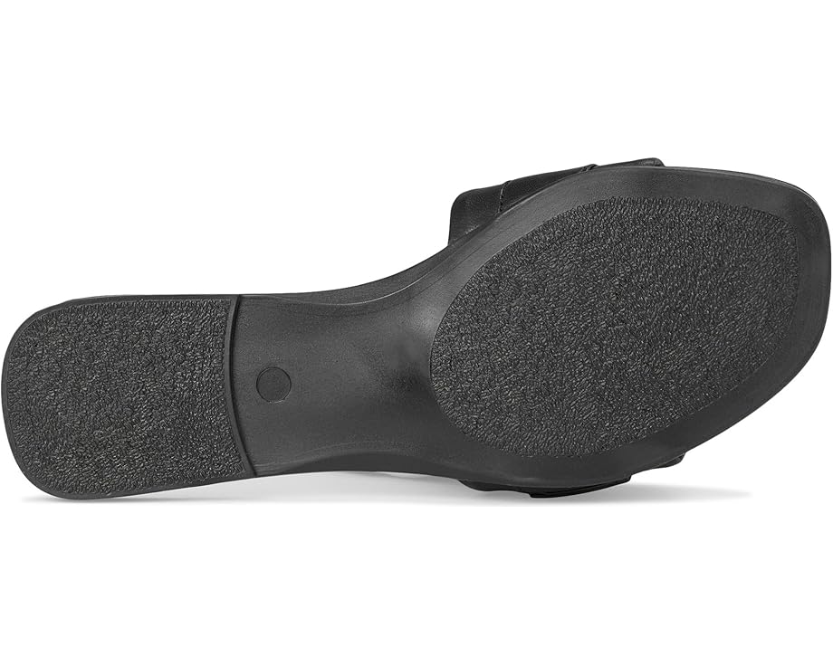 6pm Steve Madden Reef Women's