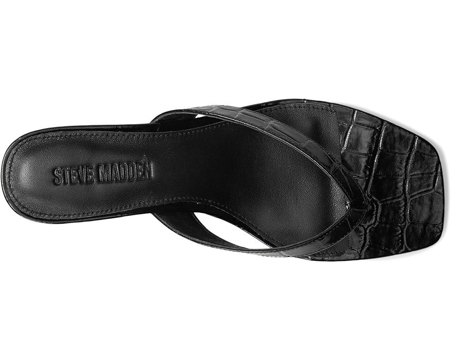 6pm Steve Madden Tracie Women's