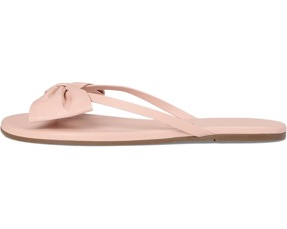 6pm TKEES Lily Oversized Bow Women's