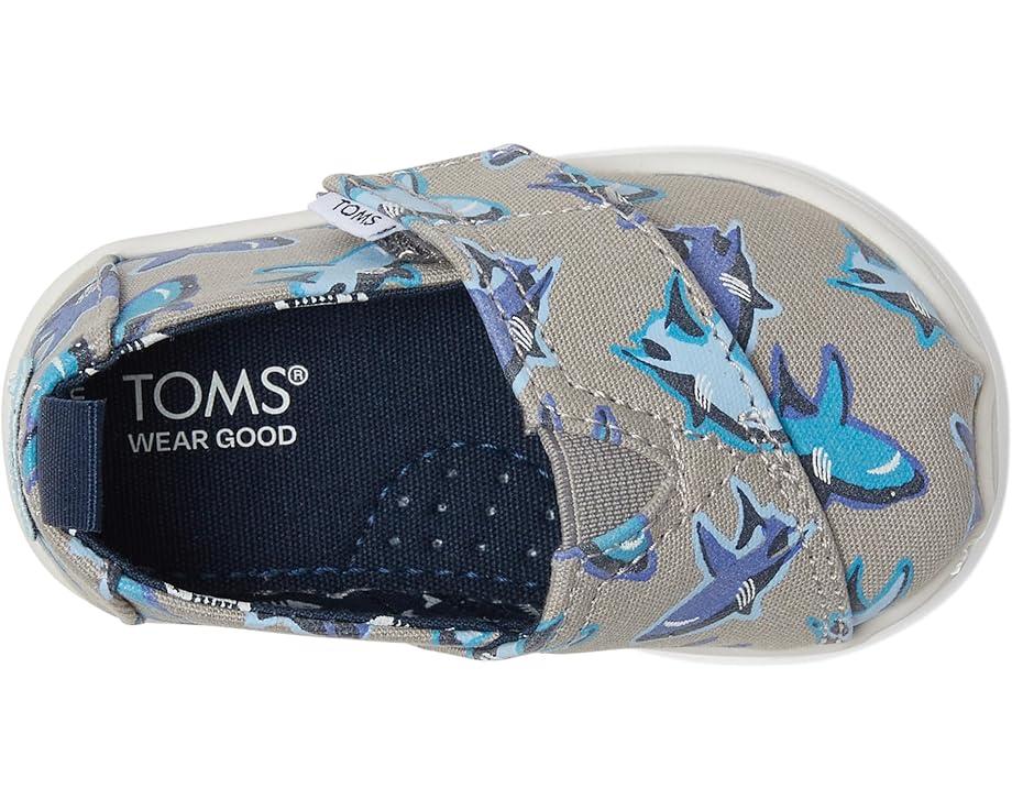 TOMS Kids Alpargata (Toddler/Little Kid)