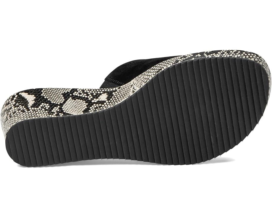 Vaneli Calla Women's