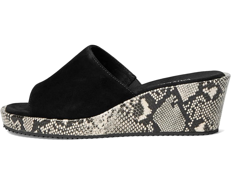 Vaneli Calla Women's