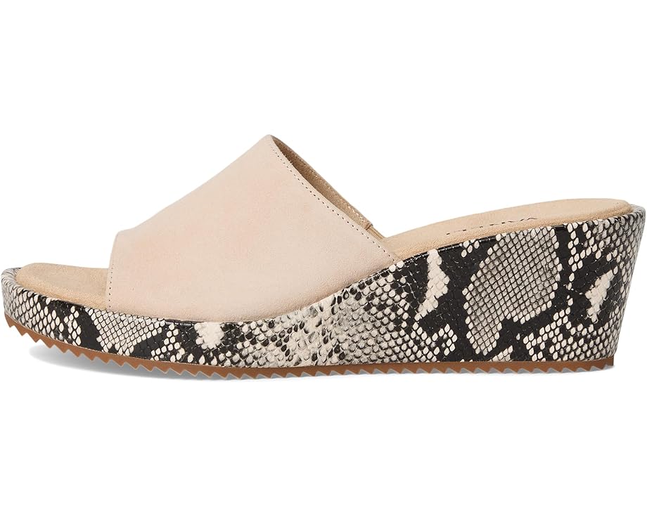 Vaneli Calla Women's