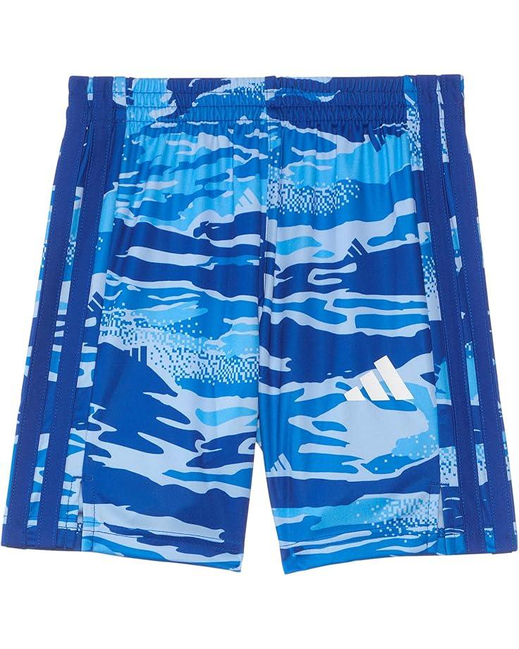 6pm adidas Kids Aop Tiger Camo Shorts (Toddler/Little Kids)