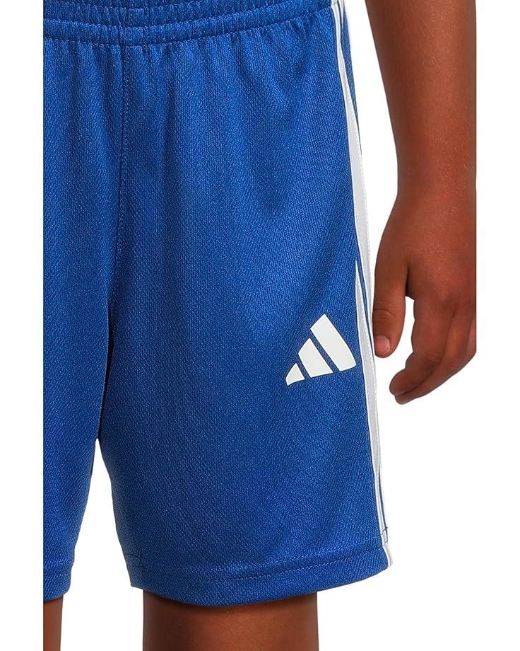 6pm Adidas Kids Essentials 3-Stripe Shorts (Toddler/Little Kids)