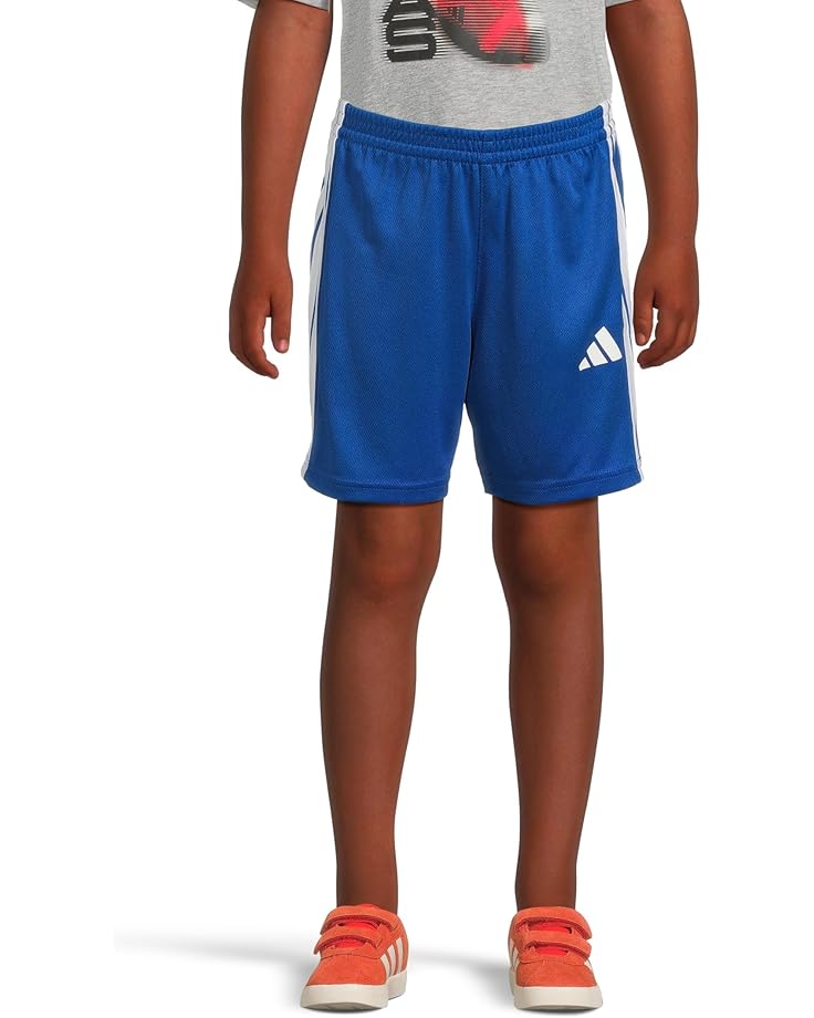 6pm adidas Kids Essentials 3-Stripe Shorts (Toddler/Little Kids)