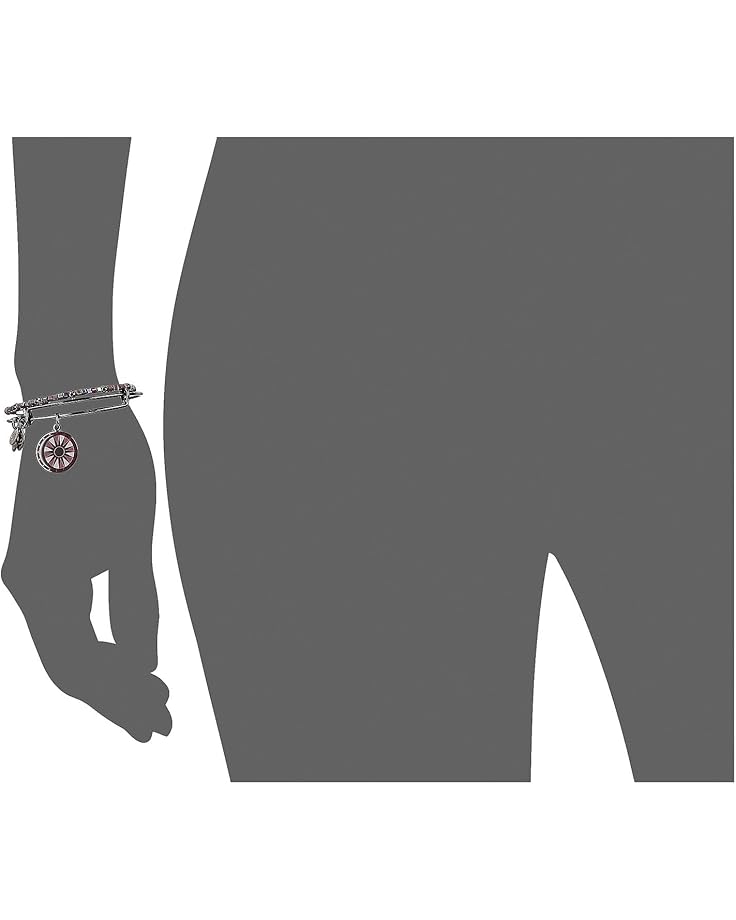 6pm Alex And Ani Color Infusion Cosmic Balance II Set Of 2 Bangle