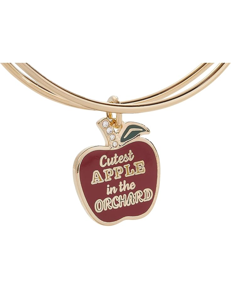 6pm Alex And Ani Cutest Apple In The Orchard Bracelet