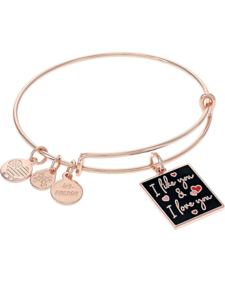 6pm Alex and Ani I Like You and I Love You Bracelet