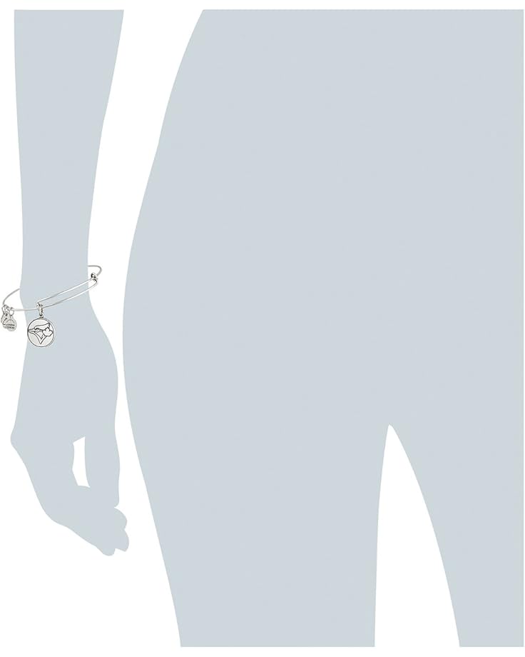 6pm Alex And Ani MLB® Toronto Blue Jays Charm Bangle