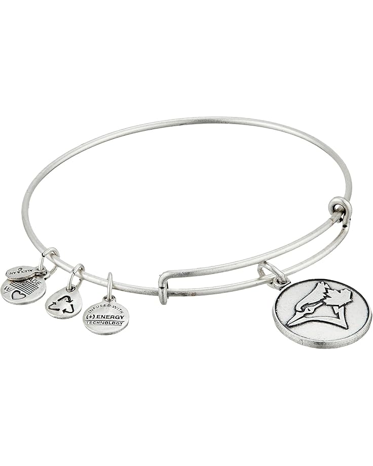 6pm Alex and Ani MLB® Toronto Blue Jays Charm Bangle