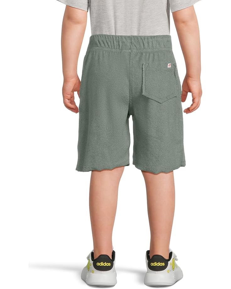 6pm Appaman Kids Camp Shorts (Toddler/Little Kid/Big Kid)