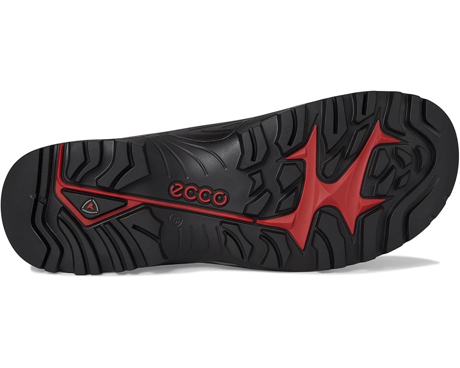ECCO Sport Offroad Waterproof Lace-Up Hiking Shoes Men's