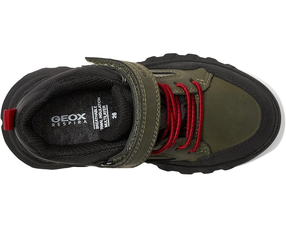Geox Kids Simbyosbabx 3 (Toddler/Little Kid/Big Kid)