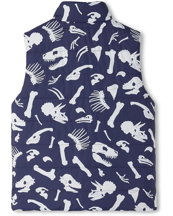 6pm Hatley Kids Dino Fossils Reversible Quilted Vest (Toddler/Little Kid/Big Kid)