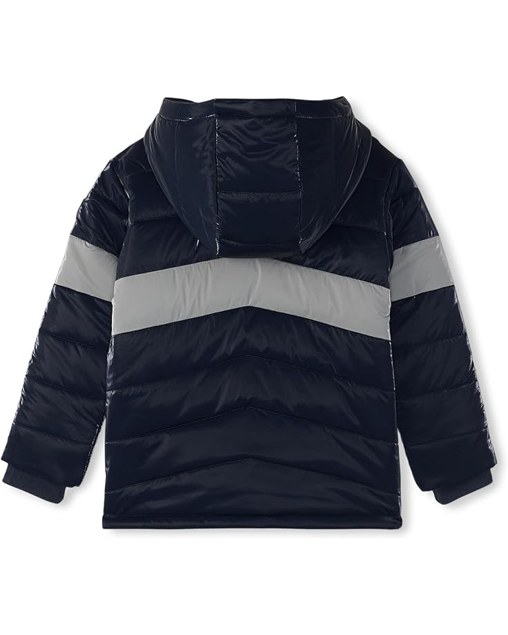6pm Hatley Kids Shark Skin Colourblock Puffer Jacket (Toddler/Little Kid/Big Kid)