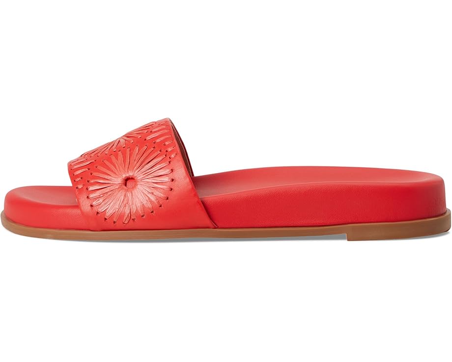 6pm Jack Rogers Somerset Slide - Nappa/Raffia Women's