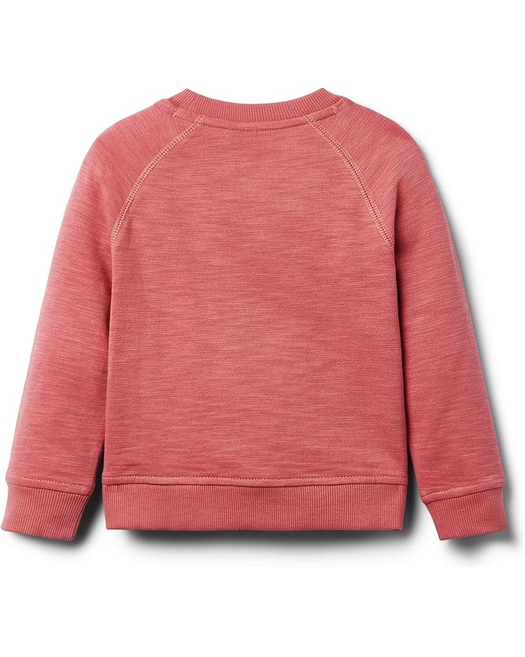 Janie And Jack Boys Slub French Terry Crew Neck (Toddler/Little Kid/Big Kid)