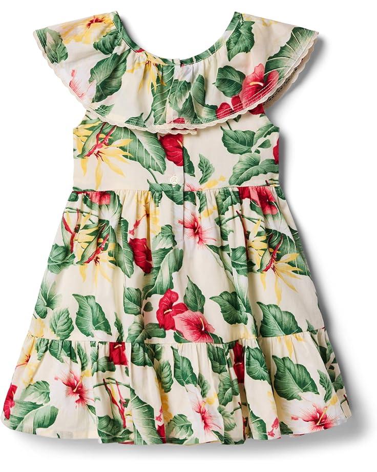 Janie And Jack Girls Floral Gauze Dress (Toddler/Little Kid/Big Kid)