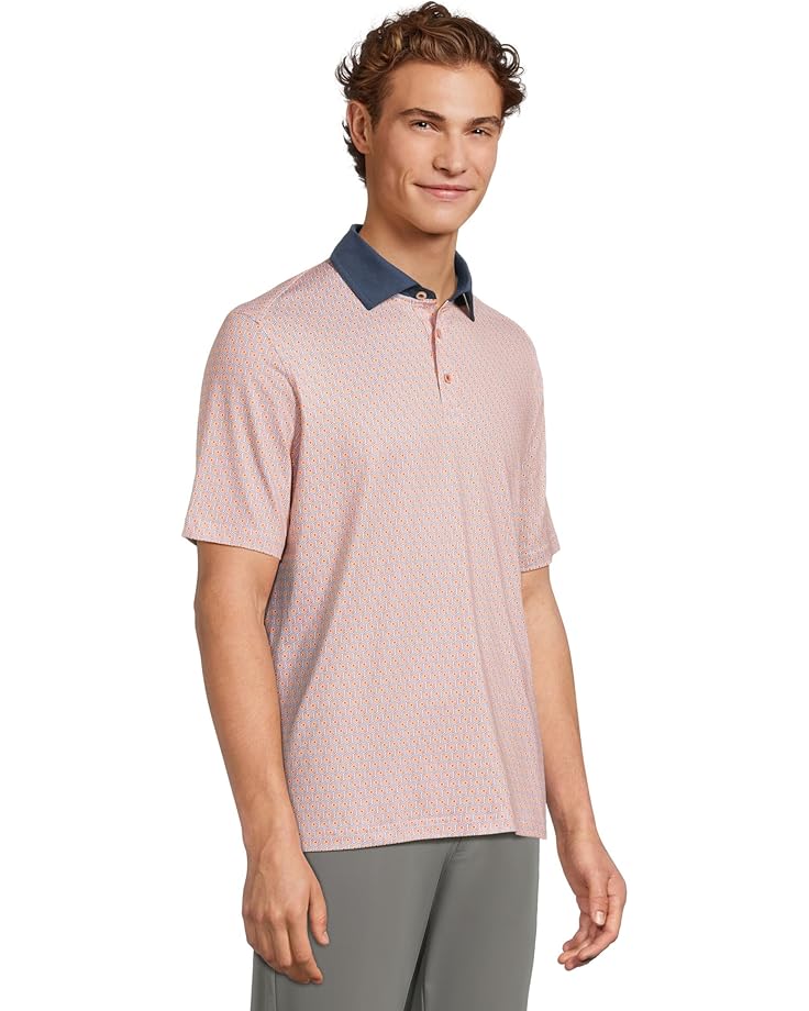 6pm Johnston & Murphy Xc4 Cool Degree Solid Collar Hexagon Dot Men's