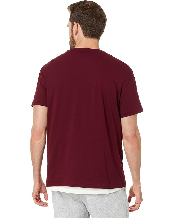 Polo Ralph Lauren Classic Fit Jersey Graphic T-Shirt Men's Classic Wine