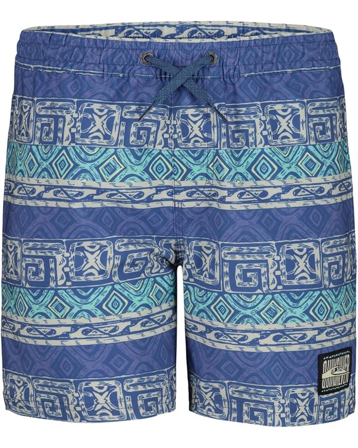 6pm Quiksilver Kids Surfsilk Global Volley (Little Kids)