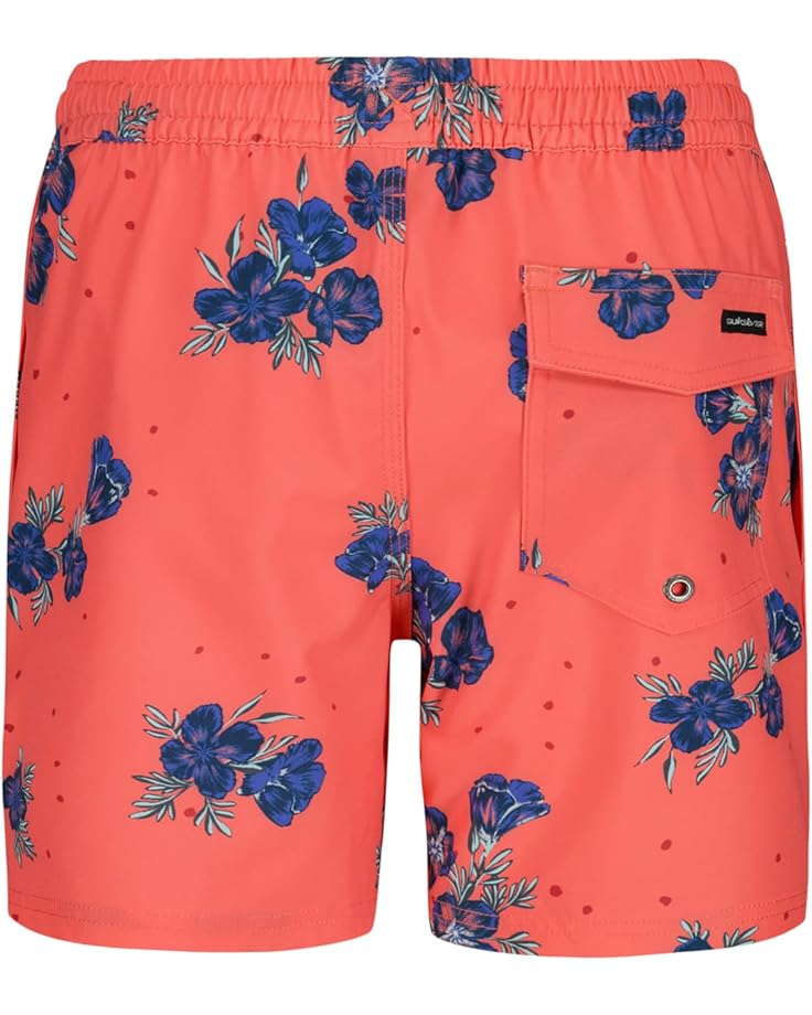 6pm Quiksilver Kids Surfsilk Mix Volley (Little Kids)